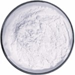 Carprofen Manufacturers Exporters