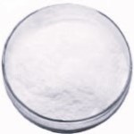 Fenofibrate Manufacturers Exporters