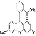 Fluorescein Sodium or Fluorescein Disodium Suppliers