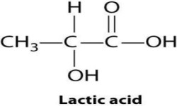 Lactic Acid Suppliers