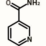 Nicotinamide or Niacinamide or Vitamin B3 Structure - Suppliers