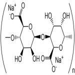 Sodium Alginate Suppliers