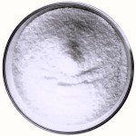 Teriflunomide Manufacturers Exporters